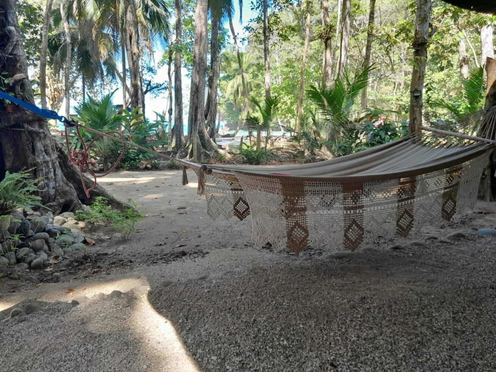 Beachfront Apartment Punta Uva Eksteriør bilde